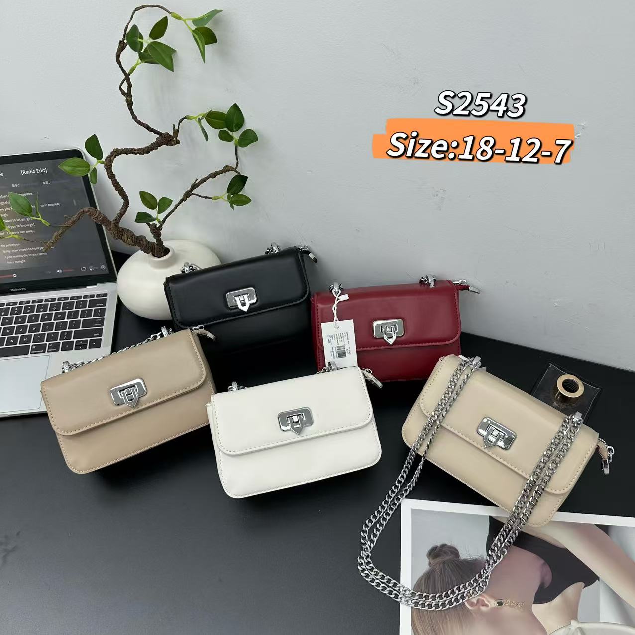 Bolso Cartera de Dama Ref S2543